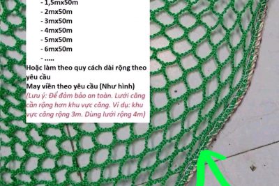 Lưới an toàn – lưới cản vật rơi mắt nhỏ 2.5cm Hà Quốc tại Đà Nẵng